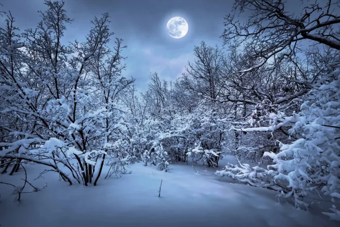 Два новолуния в декабре: &laquo;Холодная луна&raquo; и &laquo;Чёрная луна&raquo; украсят ночное небо
